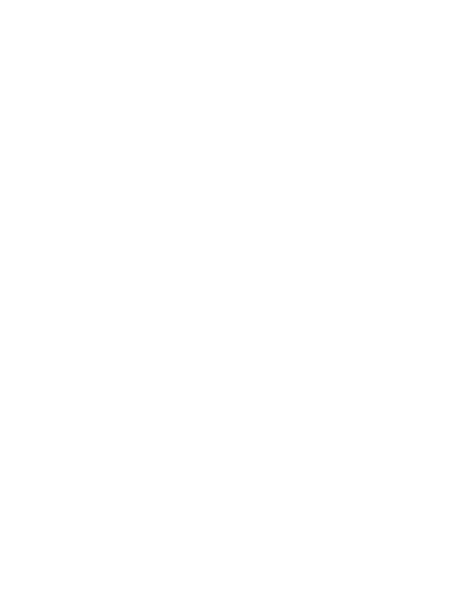 Brand Marketing Strategy